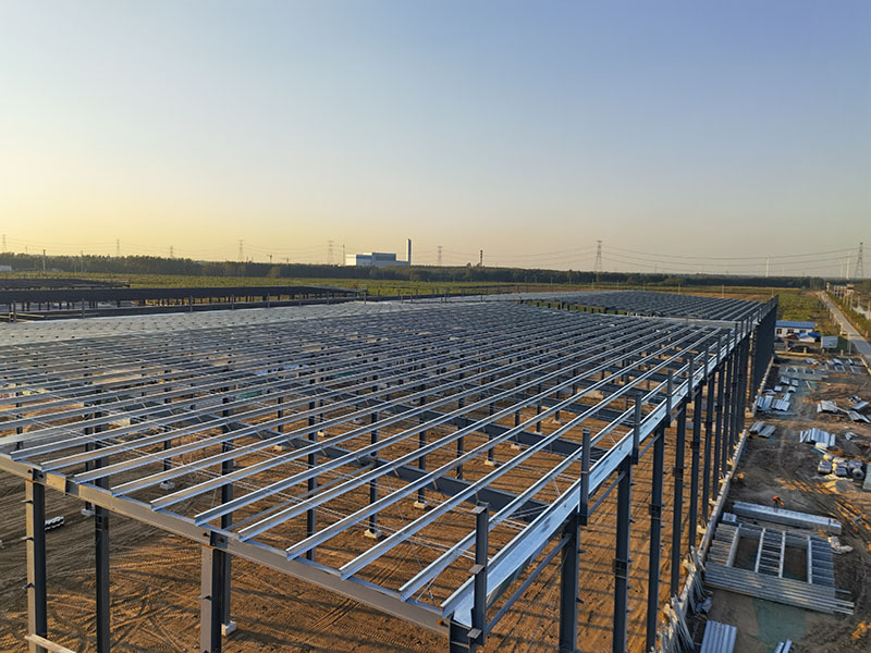 山東傳化智慧產業園-框架 (416).jpg